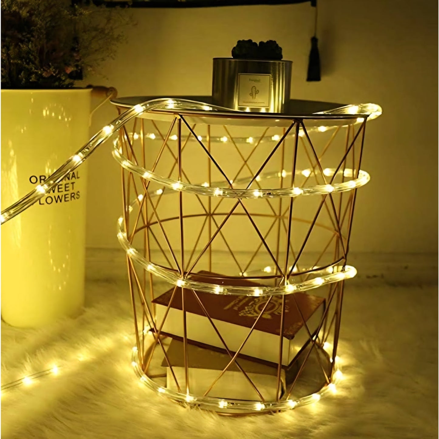 (New) 100FT Rope Lights Outdoor, 720 LED Waterproof Rope Lights, LED Connectable Flexible TubeLight