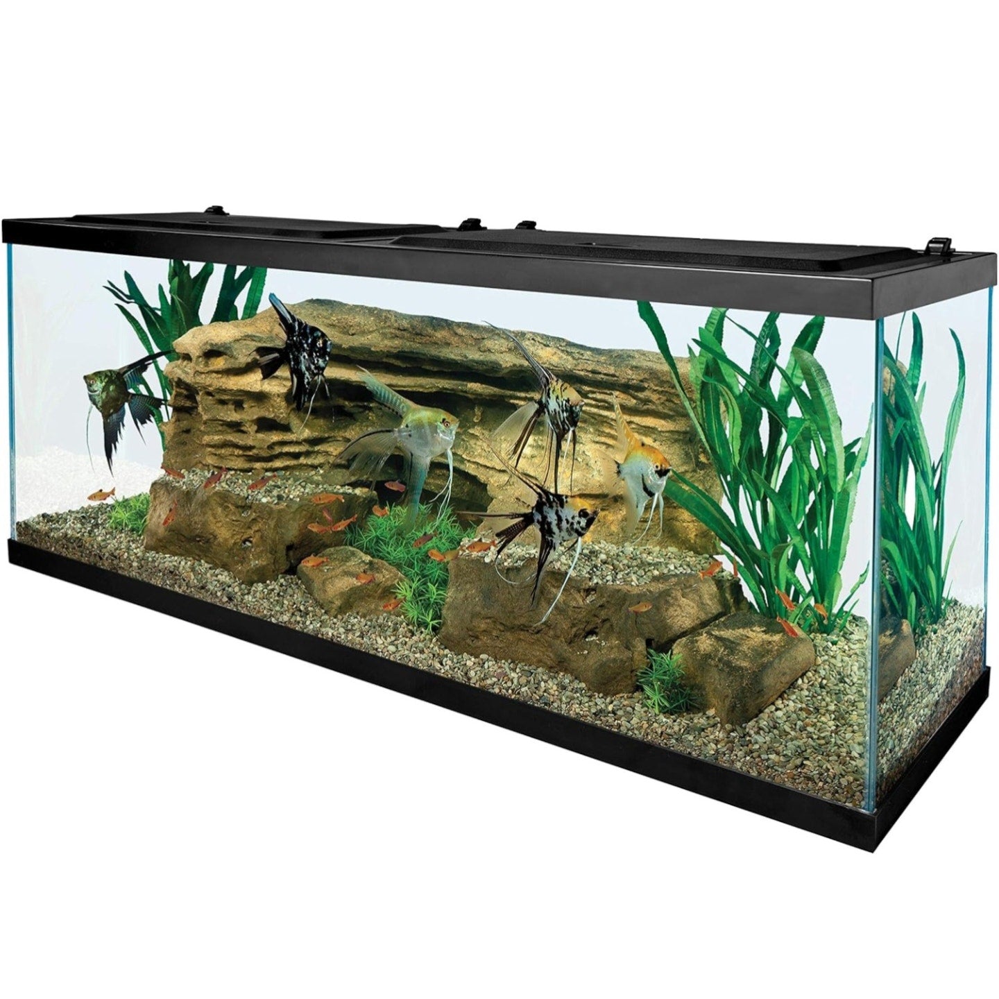 Tetra Glass Aquarium 55 Gallons, Rectangular Fish Tank (NV52018)