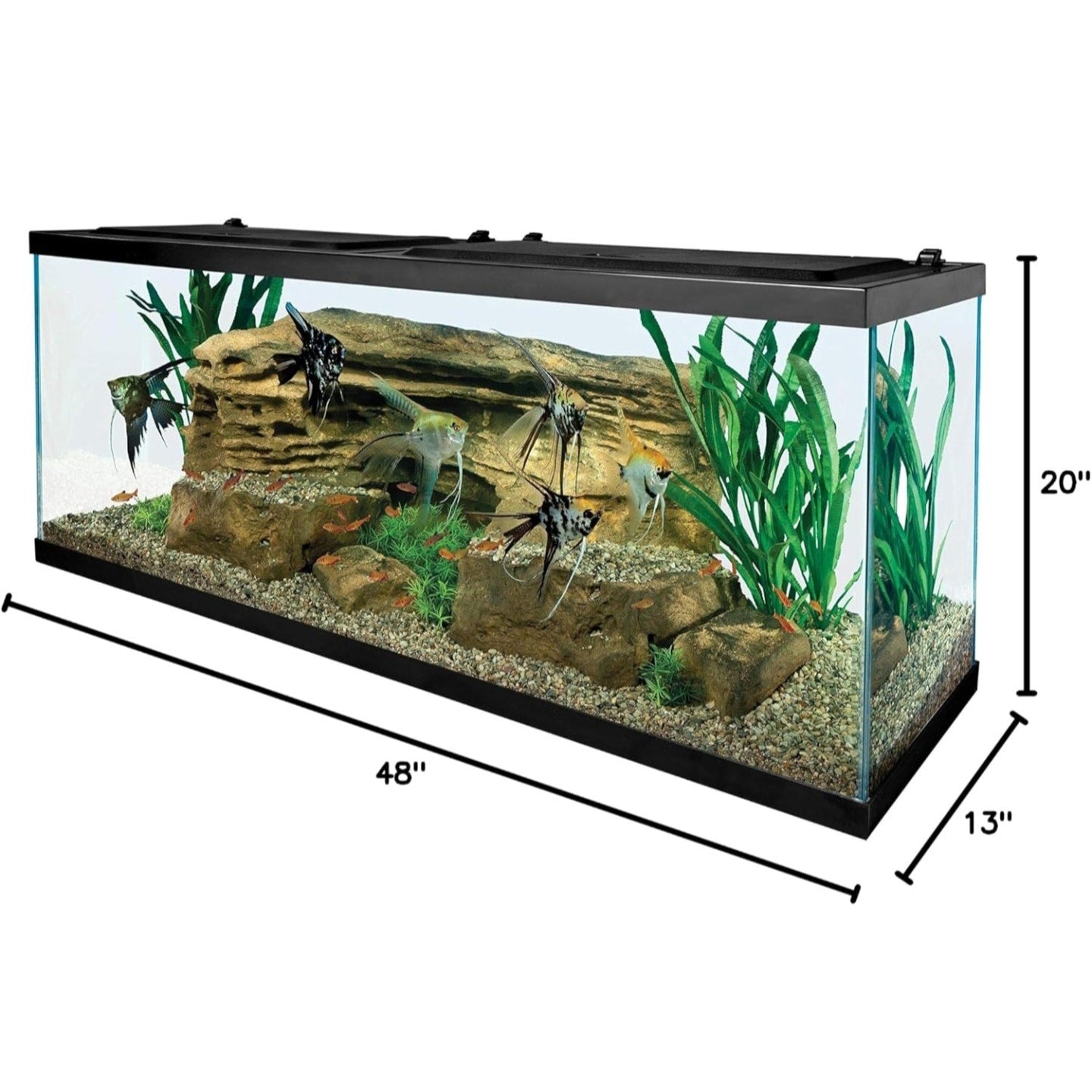 Tetra Glass Aquarium 55 Gallons, Rectangular Fish Tank (NV52018)