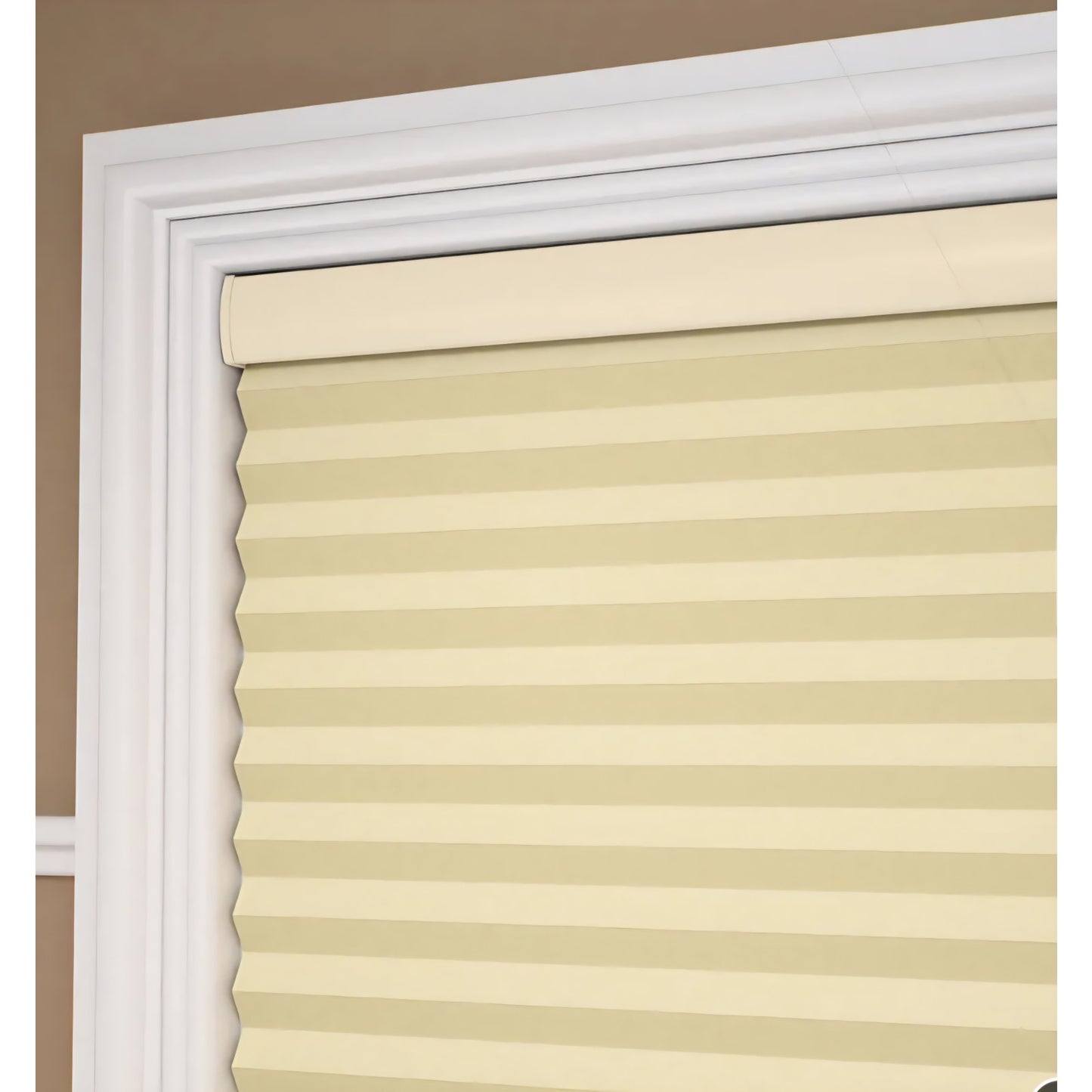 Cordless Honey comb Blackout Blinds Cellular Shades Brown Doble Cell, Single Cell 24¨w x 72 H
