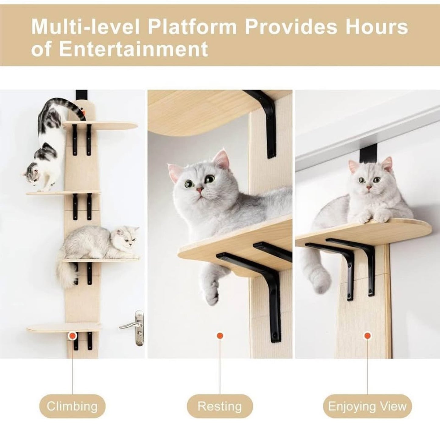 Door Hanging Cat Shelf,4-Levels Door Hanging Cat Climber Door Mounted Vertical Cat Tree Tower with C