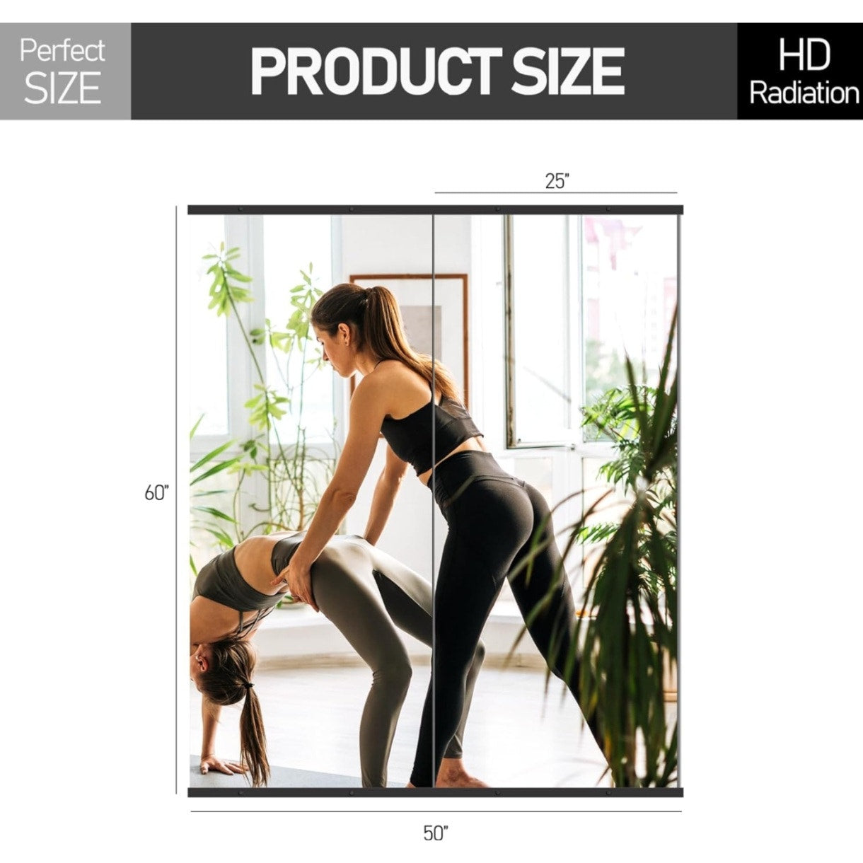 Home Gym Mirror for Wall,Mirror Full Length,60x25x2PCS,Glass Frameless Body Large Mirror for Home Gym,Workout,Bedroom,Garage