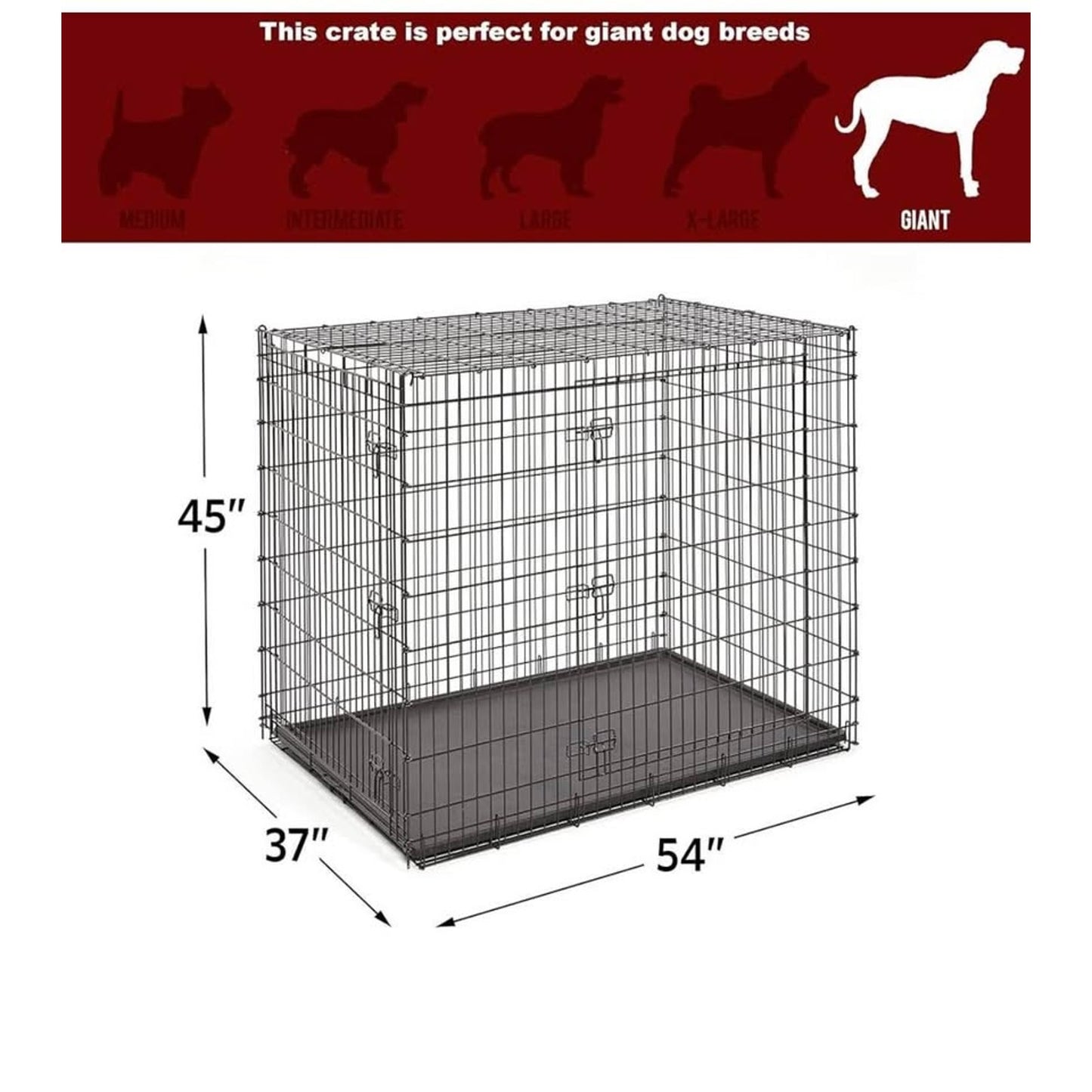 Midwest Homes for Pets Ginormous Double Door 54-Inch Dog Crate for XXL Dogs Breeds; Great Dane, Mast
