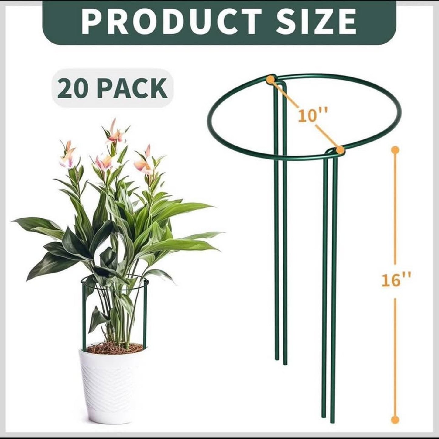 TCBWFY 20 Pack Plant Supports Stakes for Large Heavy Plants, 16"Hx10"D Peony Supports,Heavy Duty 4mm