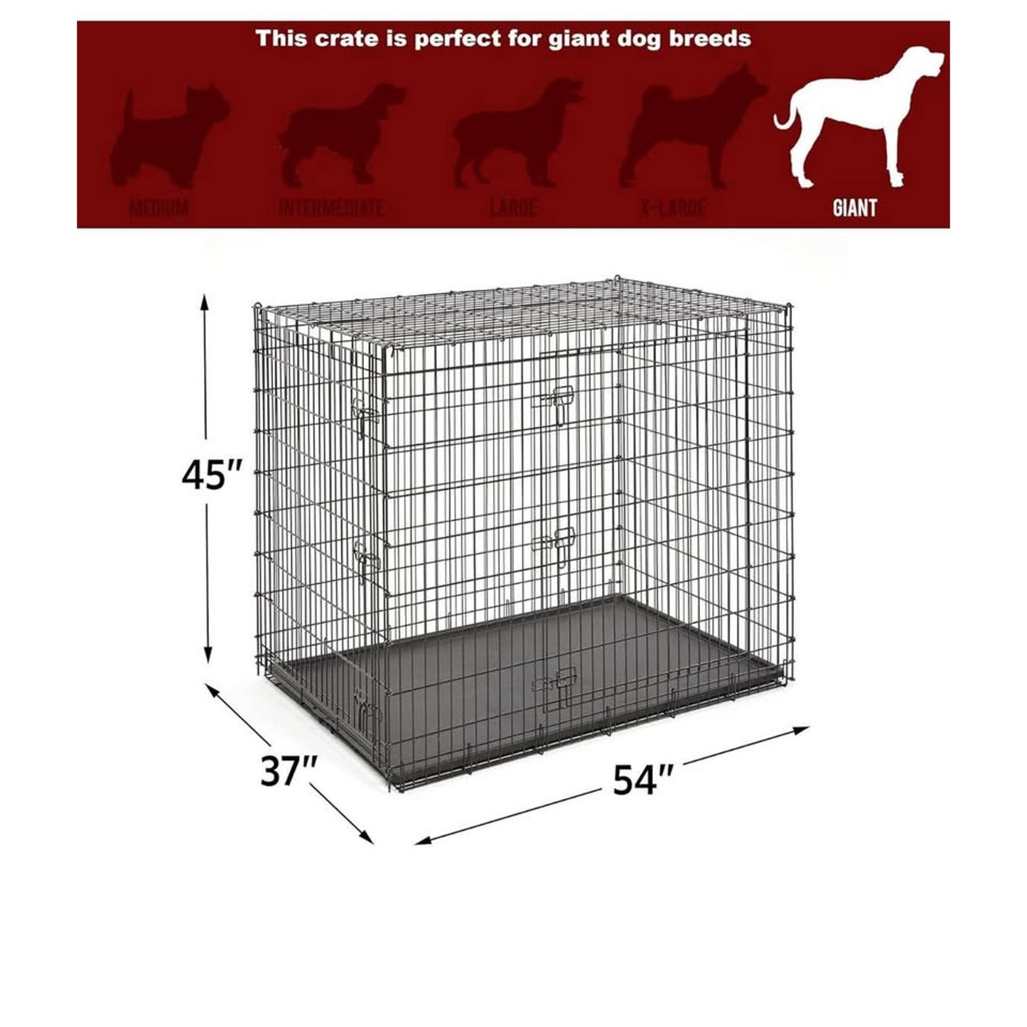 Midwest Homes for Pets Ginormous Double Door 54-Inch Dog Crate for XXL Dogs Breeds; Great Dane, Mast