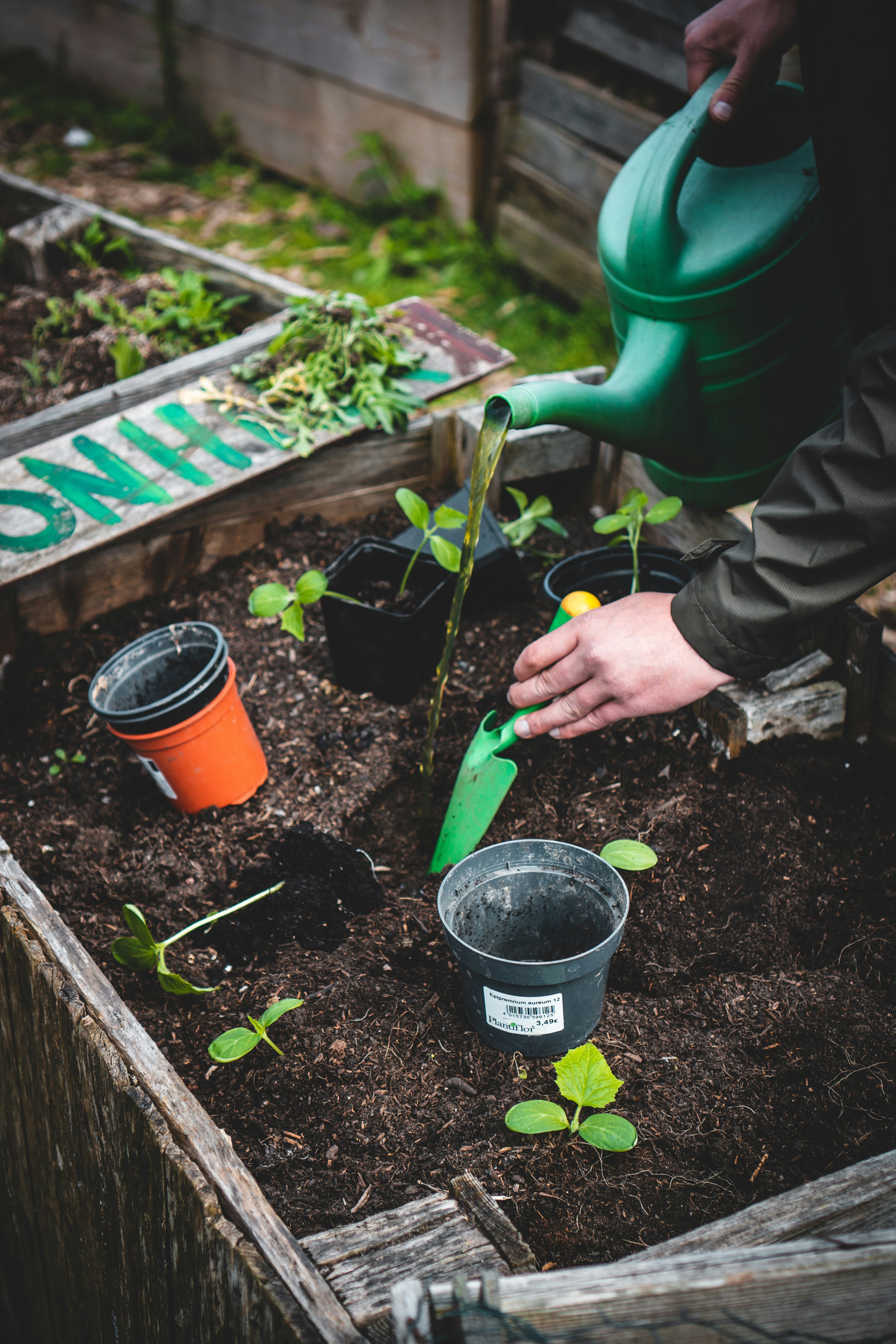 Tools and Garden