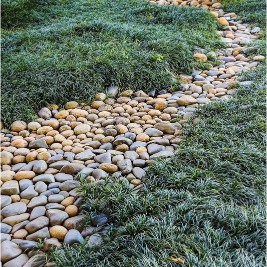 Garden Rocks Pebbles, 2-3 Inch Decorative Large River Rocks for Landscaping, Painting, Aquarium,