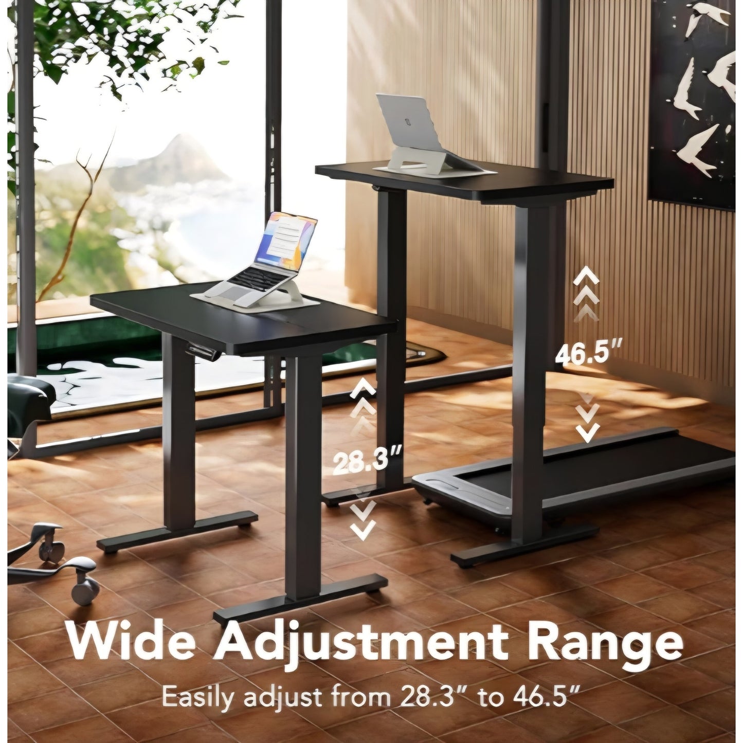 TIQLAB Electric Standing Desk, 55 x 24 Inch Height Adjustable Computer Desk with Storage Bag