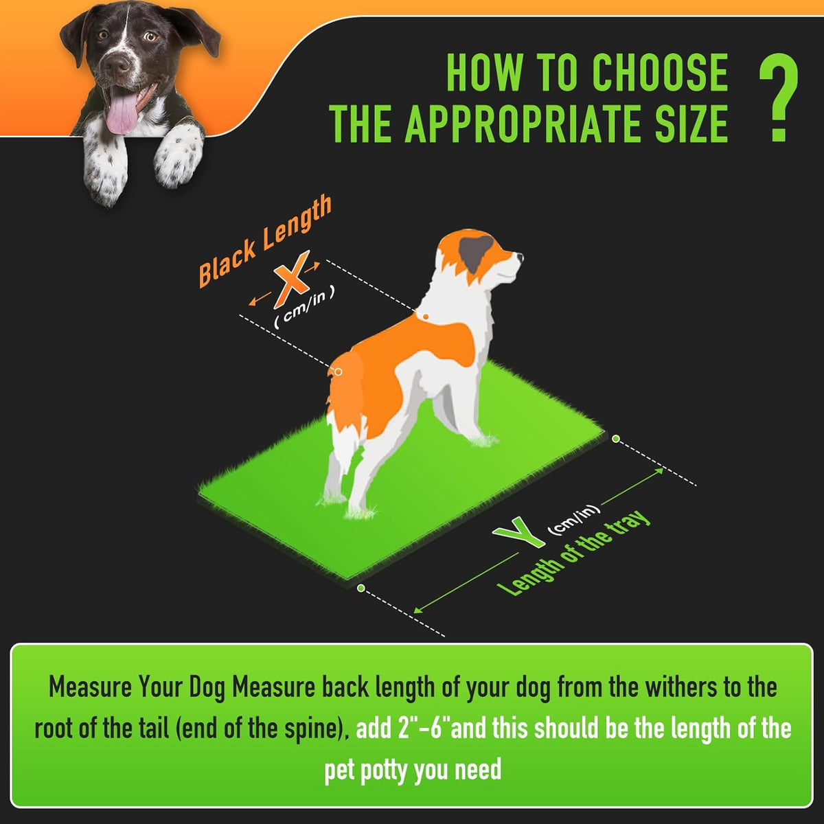 Hompet Dog Grass Pad with Tray Large, 52.7"x35", 2 Reusable Artificial Turf for Dogs Potty,