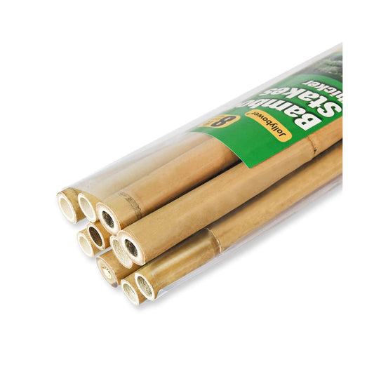 10pcs 1" D Thicker Heavy Duty Bamboo Stakes, 8FT Plant Stakes