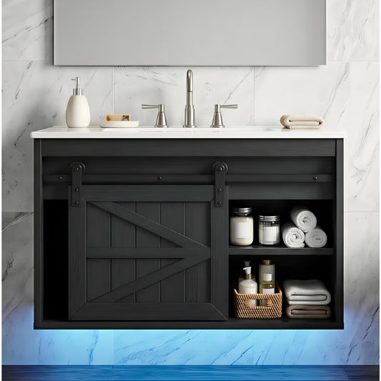 24" LED Bathroom Vanity with Sink, Farmhouse Sliding Barn Door Bathroom Cabinet