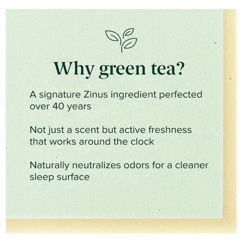 Zinus 6 Inch Queen Green Tea Memory Foam Mattress, Medium Firm Feel Pressure-Relieving Comfort