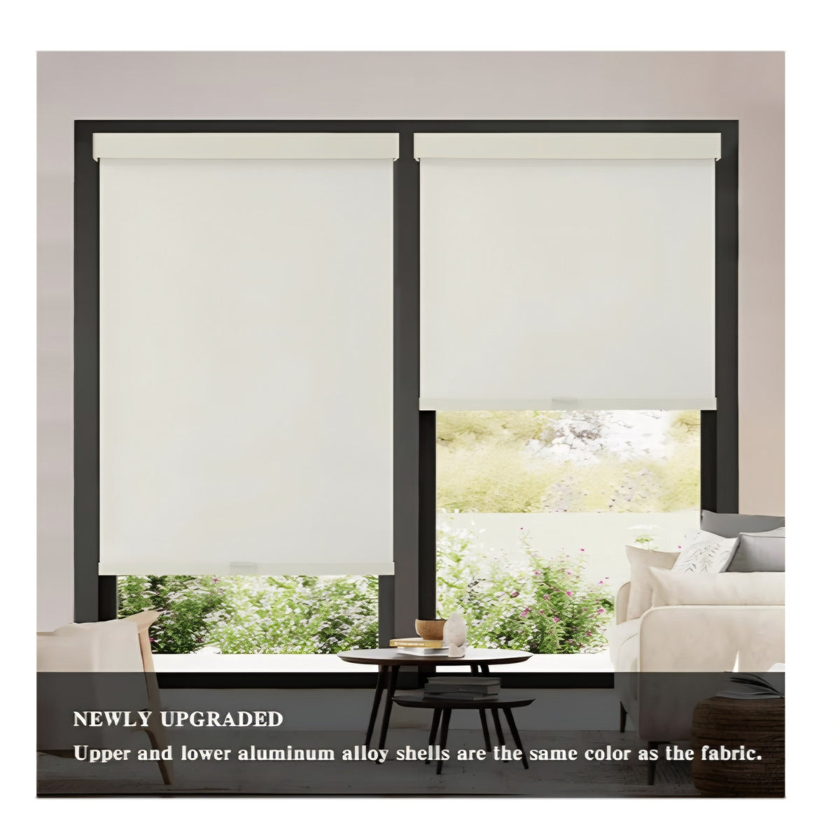 AOSKY Blackout Roller Shades Cordless Blinds for Windows, Free-Stop Shades with Valance