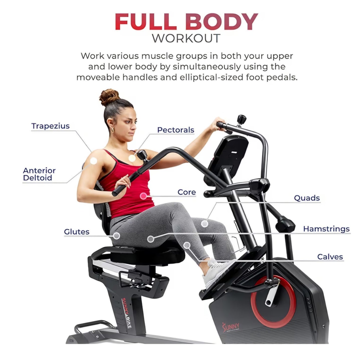 Sunny Health & Fitness Elite Recumbent Cross Trainer & Elliptical Machine with Arm Exercisers