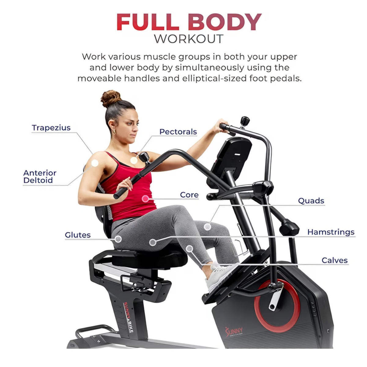 Sunny Health & Fitness Elite Recumbent Cross Trainer & Elliptical Machine with Arm Exercisers