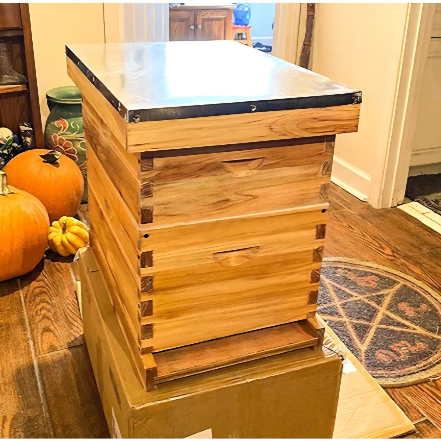 Beehive 10 Frame Bee Hives and Supplies Starter Kit, Bee Hive for Beginner