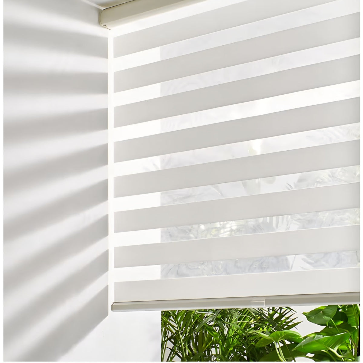 Persilux Cordless Zebra Blinds for Windows (58" W X 72" H, Cream)