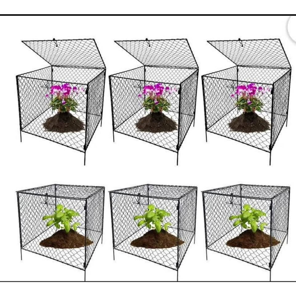 $60 obo 6Pack Chicken Wire Cloche,Large Plant Protectors with Covers Animals,Bunny Plant Protector
