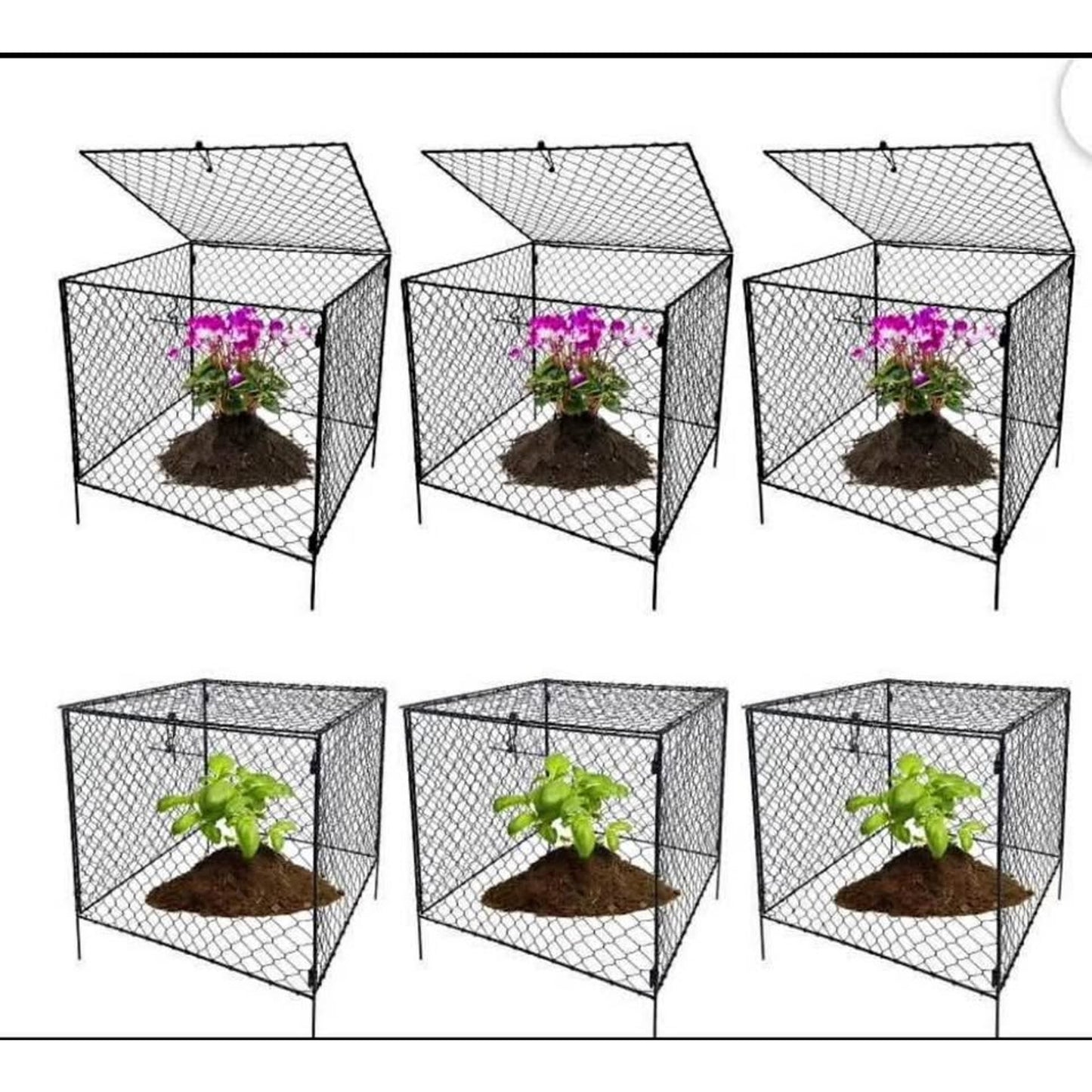 $60 obo 6Pack Chicken Wire Cloche,Large Plant Protectors with Covers Animals,Bunny Plant Protector