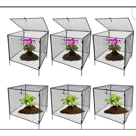 $60 obo 6Pack Chicken Wire Cloche,Large Plant Protectors with Covers Animals,Bunny Plant Protector