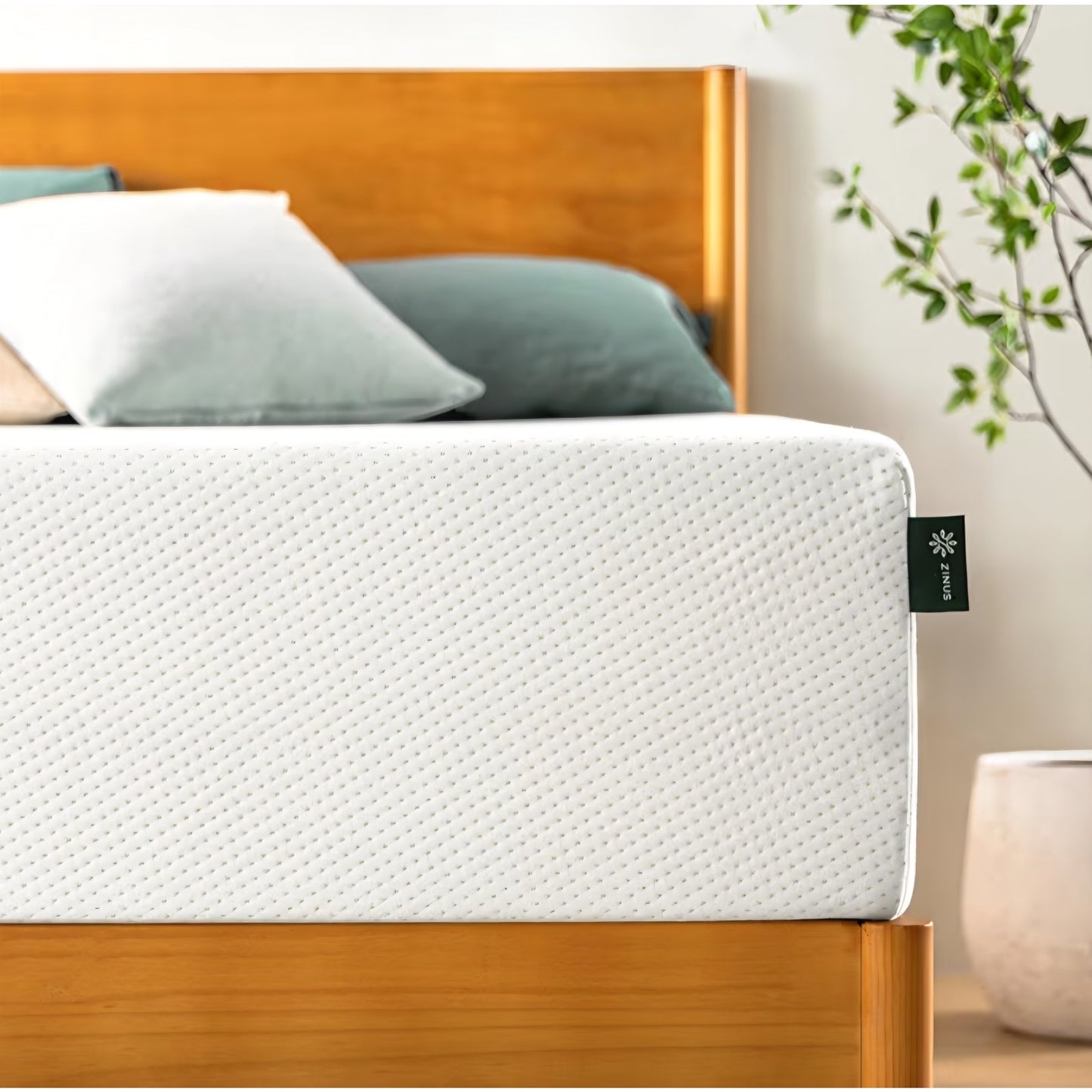 ZINUS 10 Inch Queen Green Tea Memory Foam Mattress [New Version]