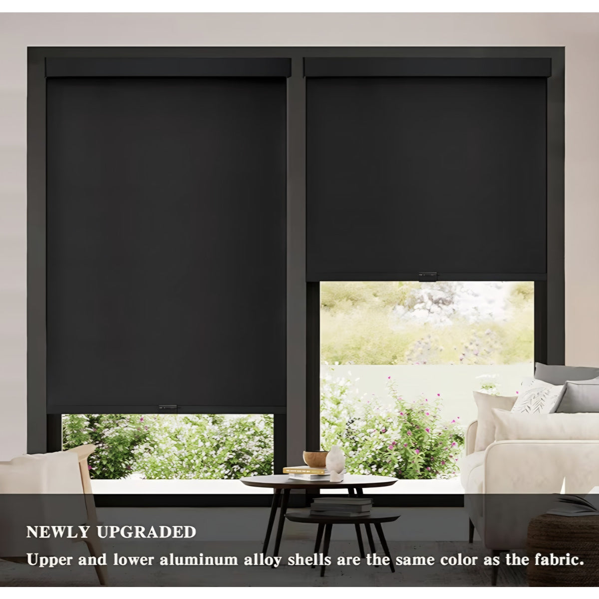 Blackout Roller Shades Cordless Blinds for Windows, Free-Stop Shades with Valance