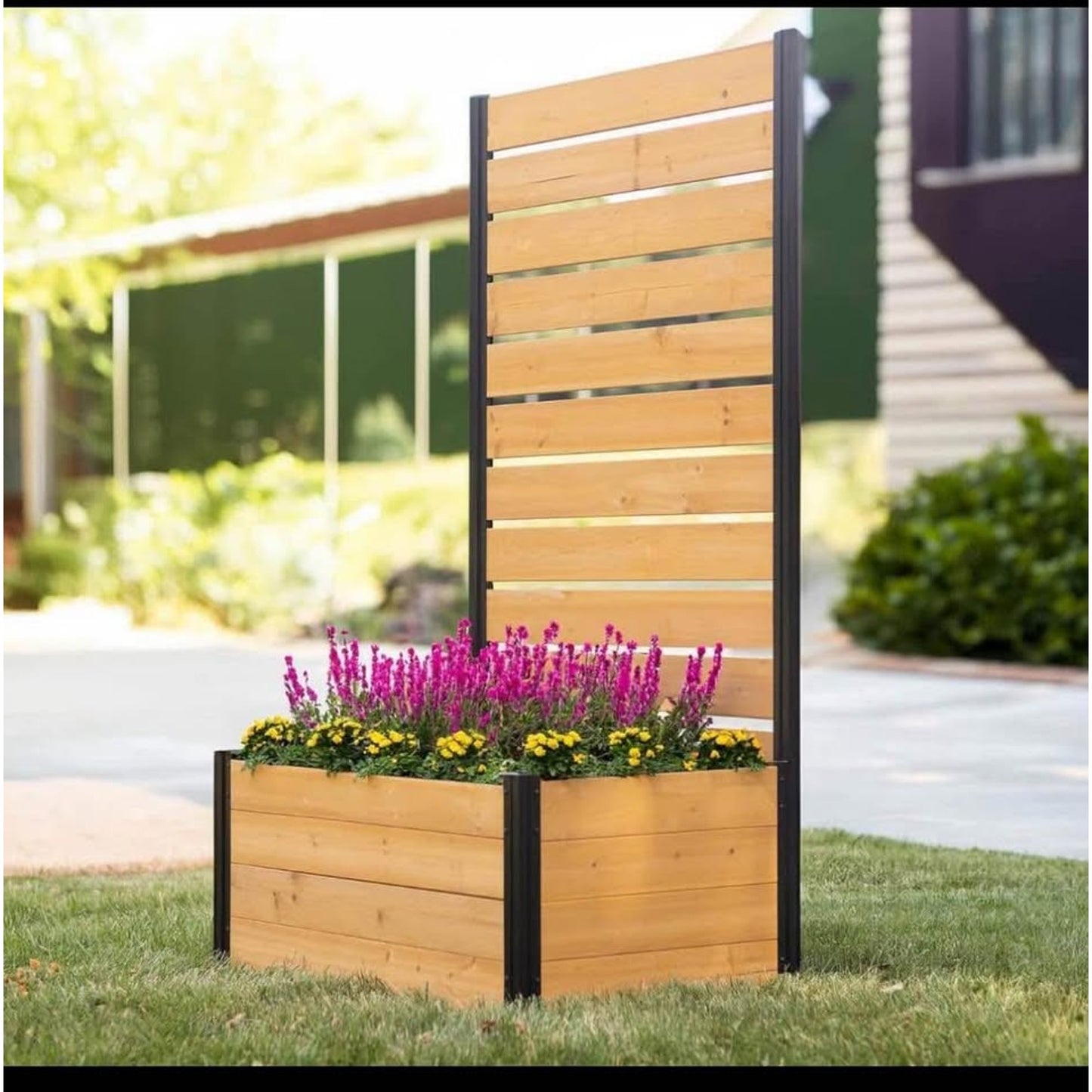 6ft H x 3.3ft W x 2.1ft L (1 Screen w/Planter) Freestanding Enclo Concord Cedar Wood Privacy Fence S