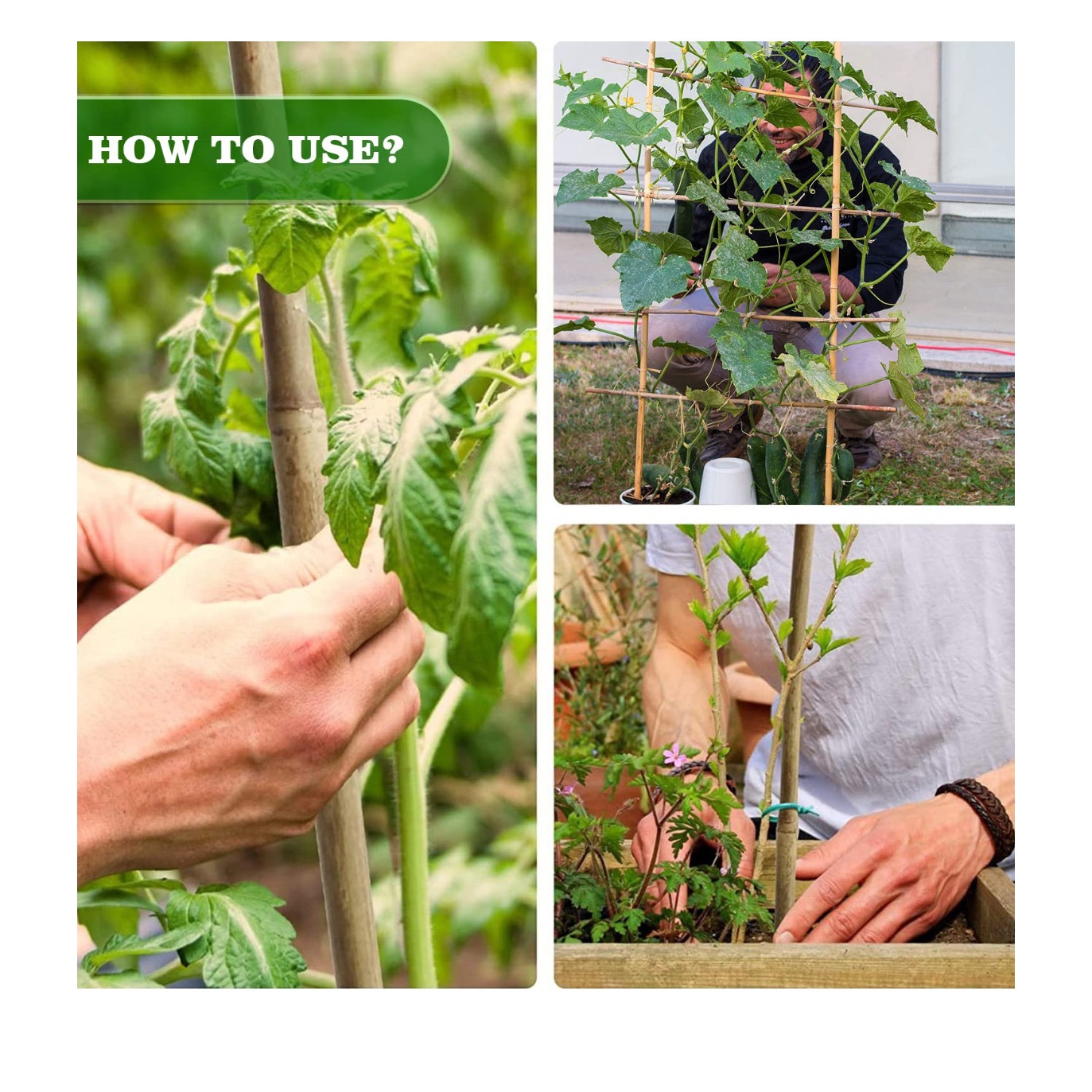 10pcs 1" D Thicker Heavy Duty Bamboo Stakes, 8FT Plant Stakes