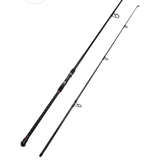 Fiblink Surf Spinning Fishing Rod 2-Piece Graphite Travel Fishing Rod(10 Feet)