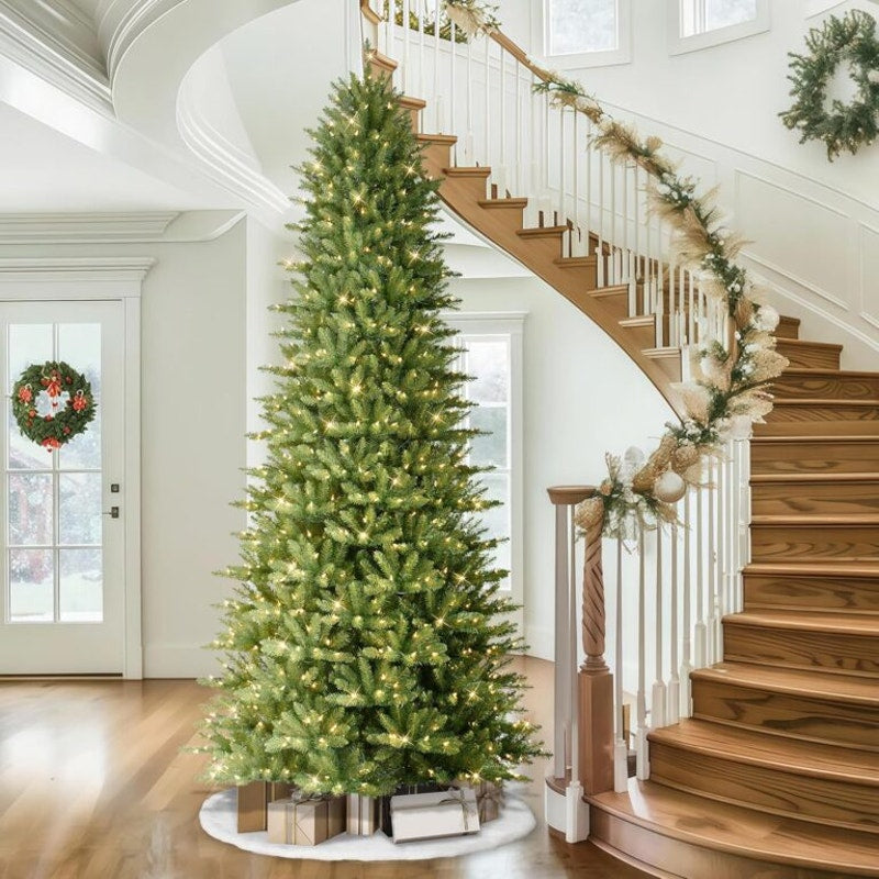 Puleo International 12ft Pre-Lit Slim Fraser Fir Christmas Tree, 3903 Realistic Dense Branch Tips.