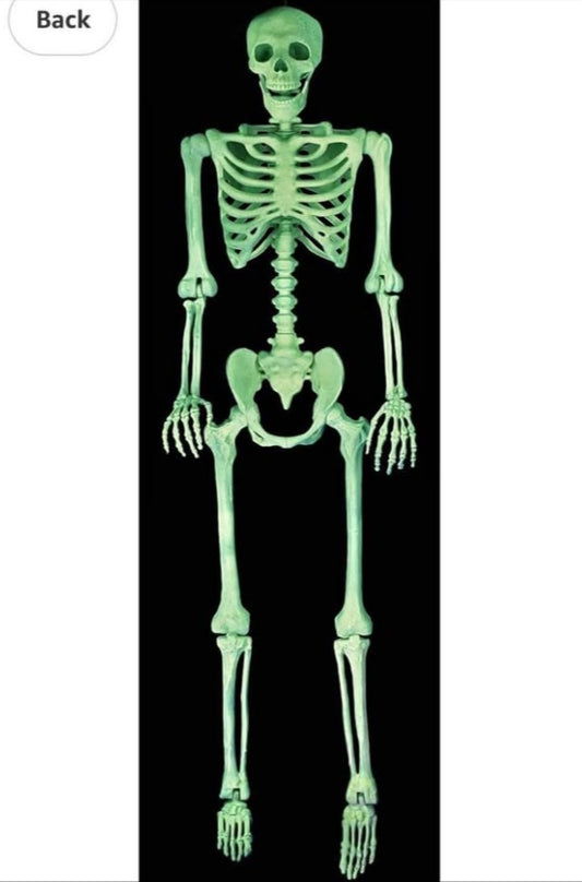 Crazy Bonez Pose-N-Stay Glow in The Dark Life Size 5 FT Skeleton with Realistic Posable and Movable Joints for Halloween Indoor and Outdoor Decoration