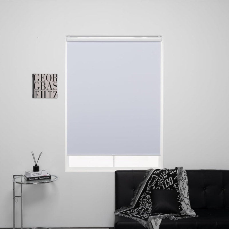 Cordless Roller Shades 100% Blackout Blinds for Windows and Doors  75LX62W