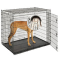 MidWest Homes for Pets Solutions Series XXL Double Door 54-Inch Dog Crate for the Largest Breeds,