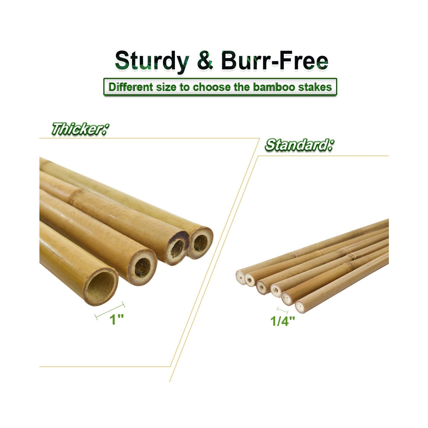 10pcs 1" D Thicker Heavy Duty Bamboo Stakes, 8FT Plant Stakes