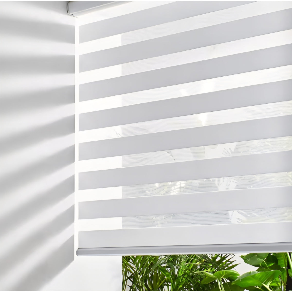 (59" W X 47" H, White) Persilux Cordless Zebra Blinds for Windows