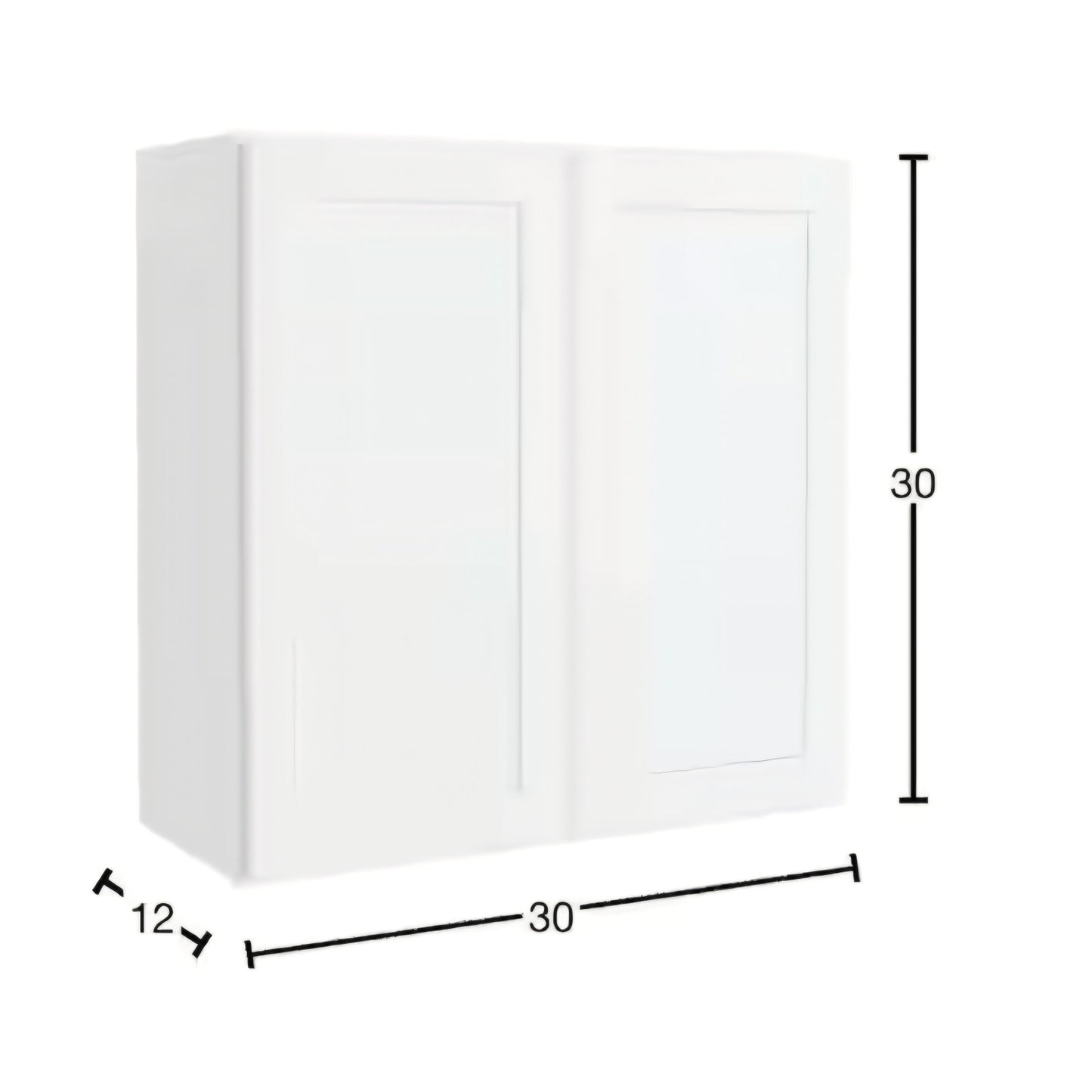 Courtland 30 in. W x 12 in. D x 30 in. H Assembled Shaker Wall Kitchen Cabinet in Polar White