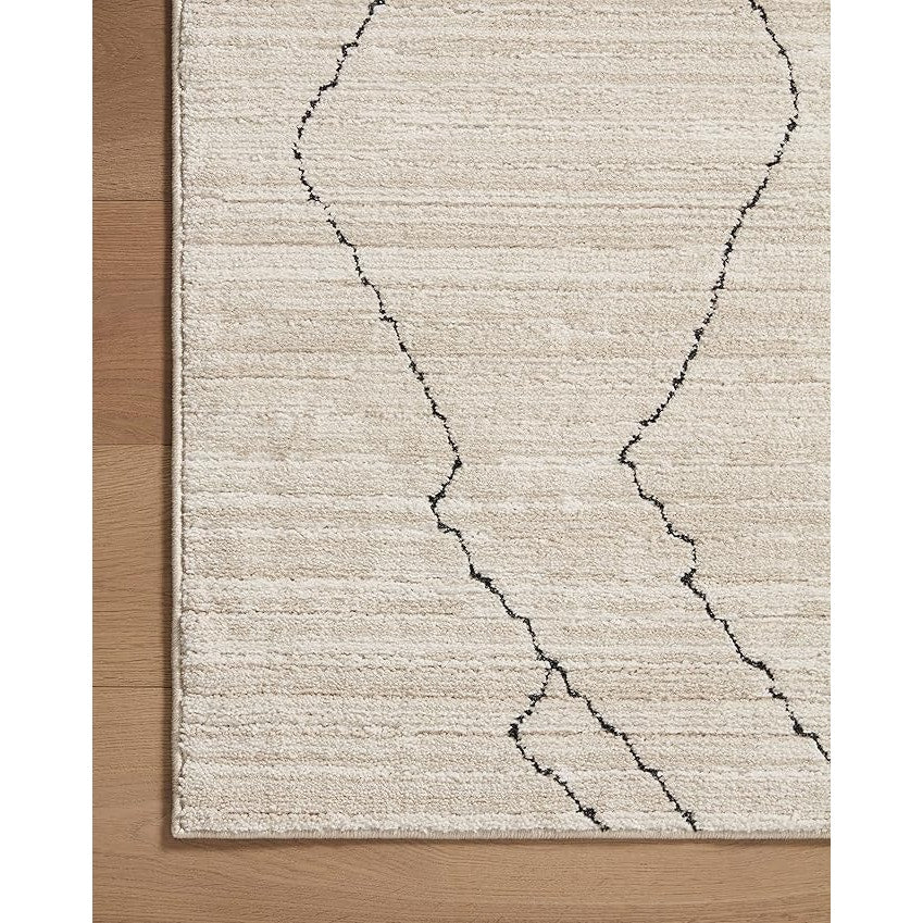 Loloi Darby Collection DAR-03 Sand/Charcoal 9'-2" x 13' Area Rug, Darby is made of 100% polyester