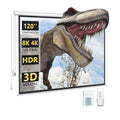 DINAH 120 Inch Electric Projector Screen with Remote, Automatic