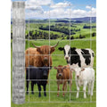 Cattle Fence 4Ft x 328, 13 Gauge Galvanized Wire Fencing, Hinge Knot Woven Wire Fence