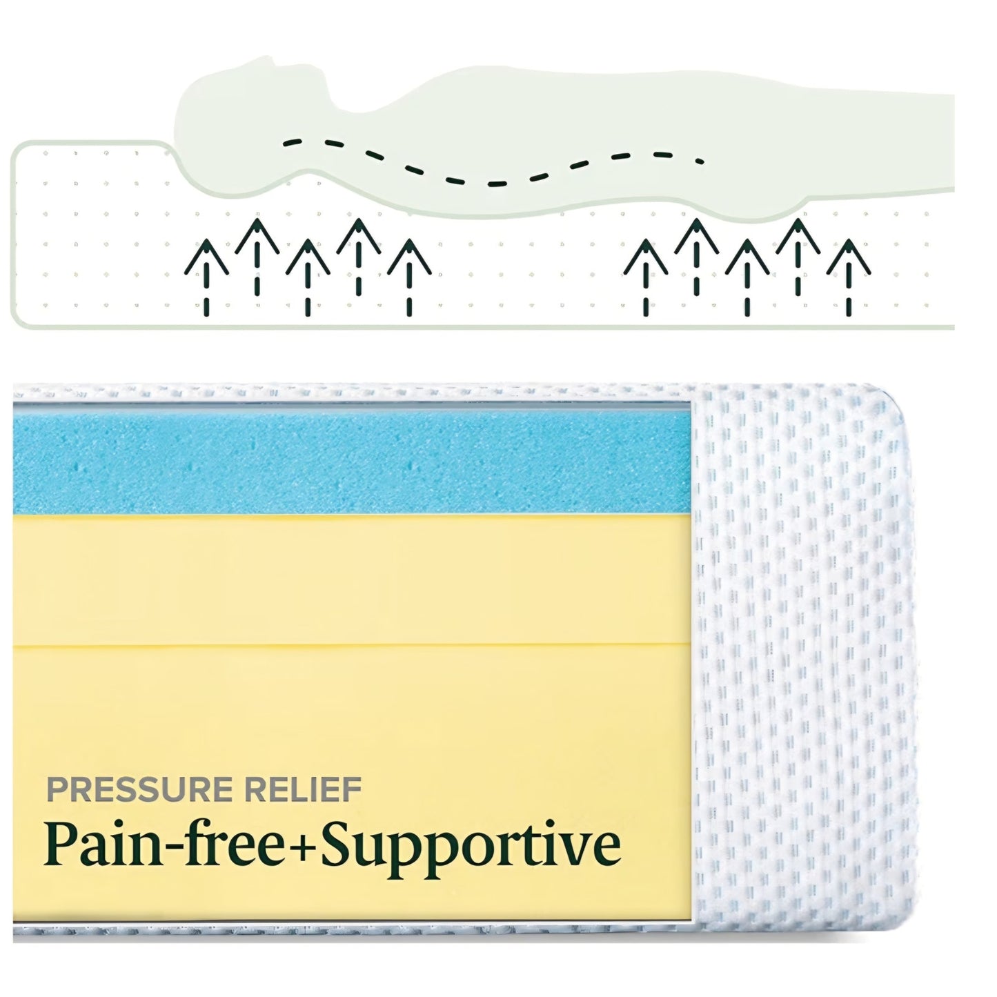 King Mattress Zinus 12 Inch Green Tea Cooling Memory Foam Mattress [New Version], King