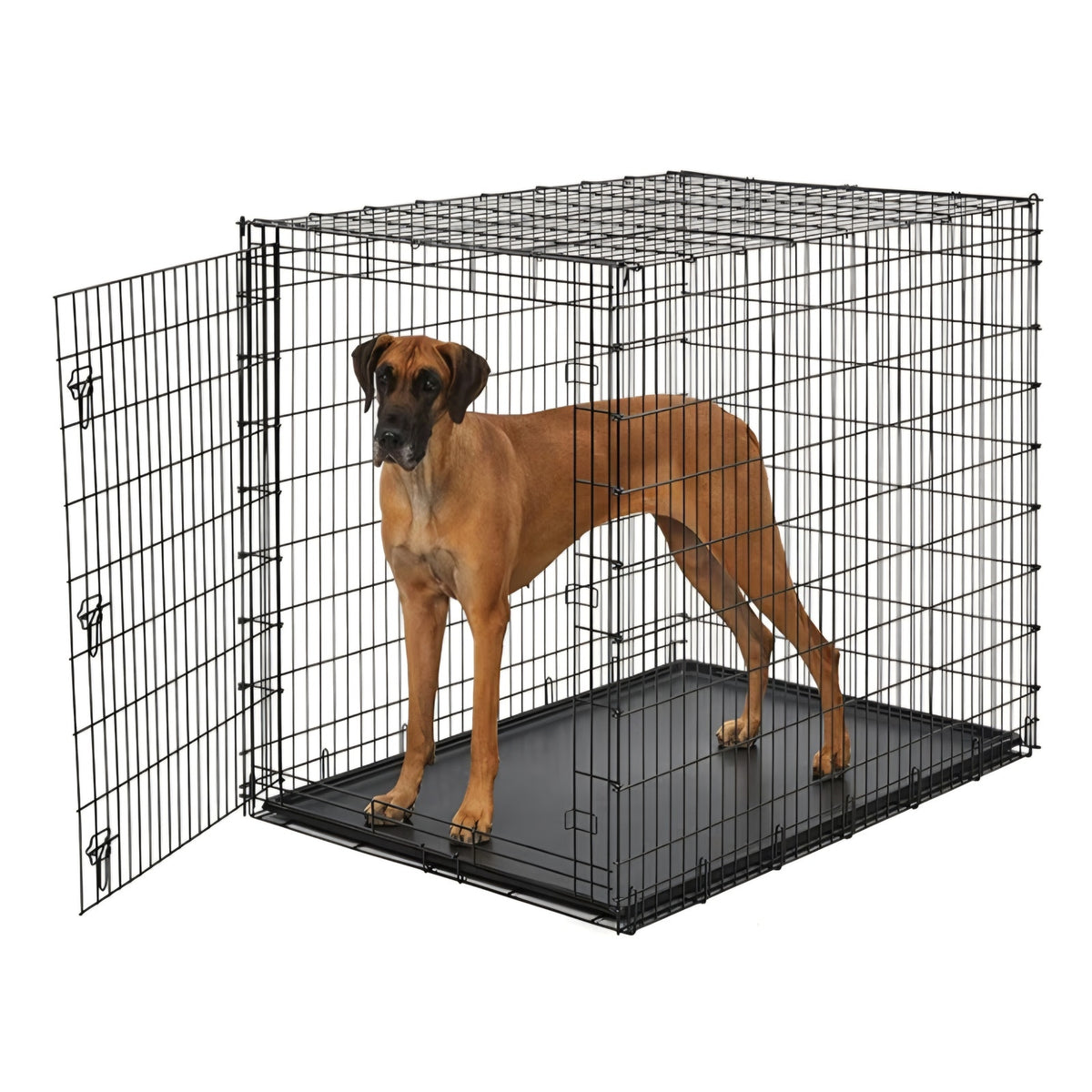 Dog Crate for Pets 54-Inch Drop Pin Crate for Giant Breeds Over 100 lbs