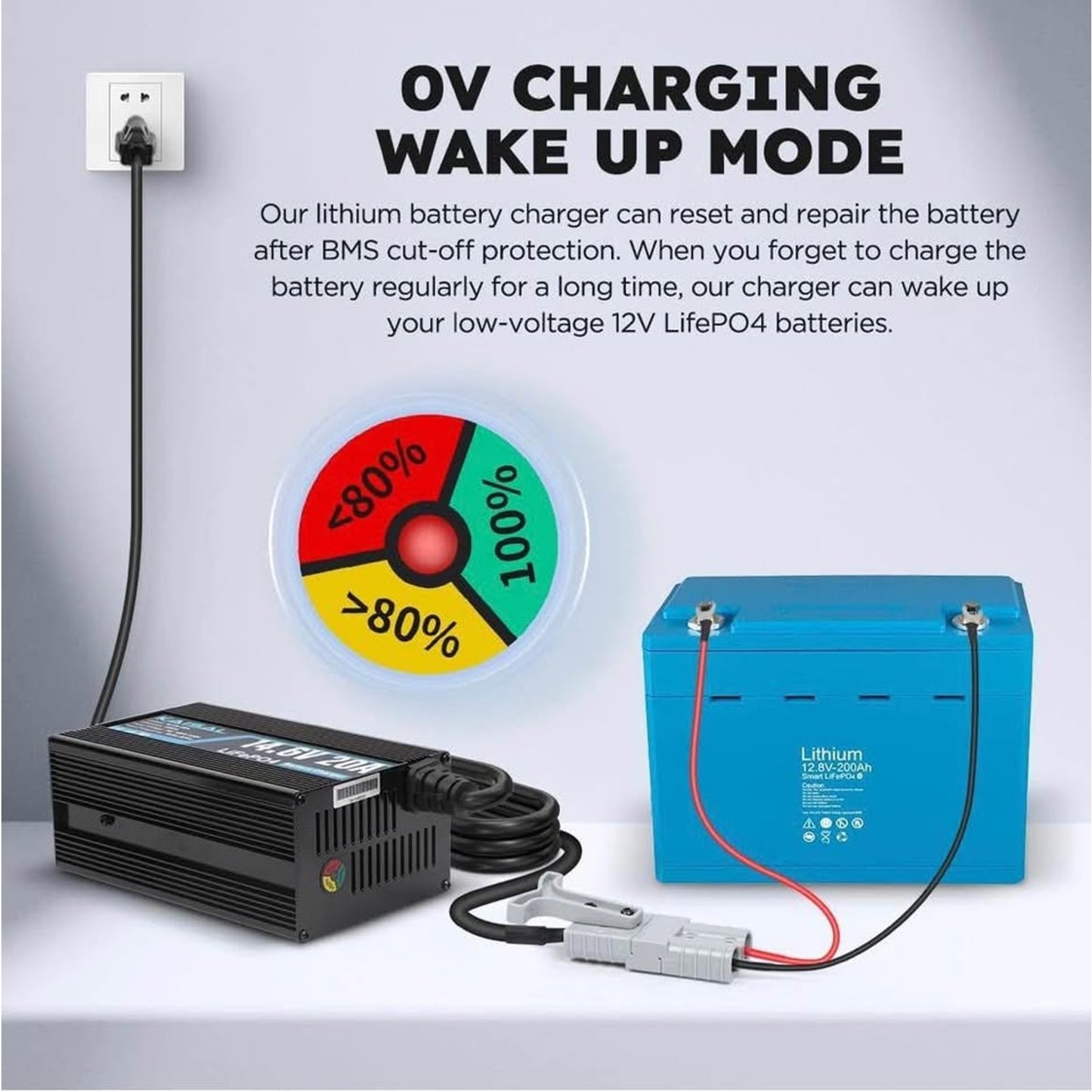 12V 20A Lithium Battery Charger 14.6V LiFePO4 Battery Charger for 12.8V LiFePO4 Lithium