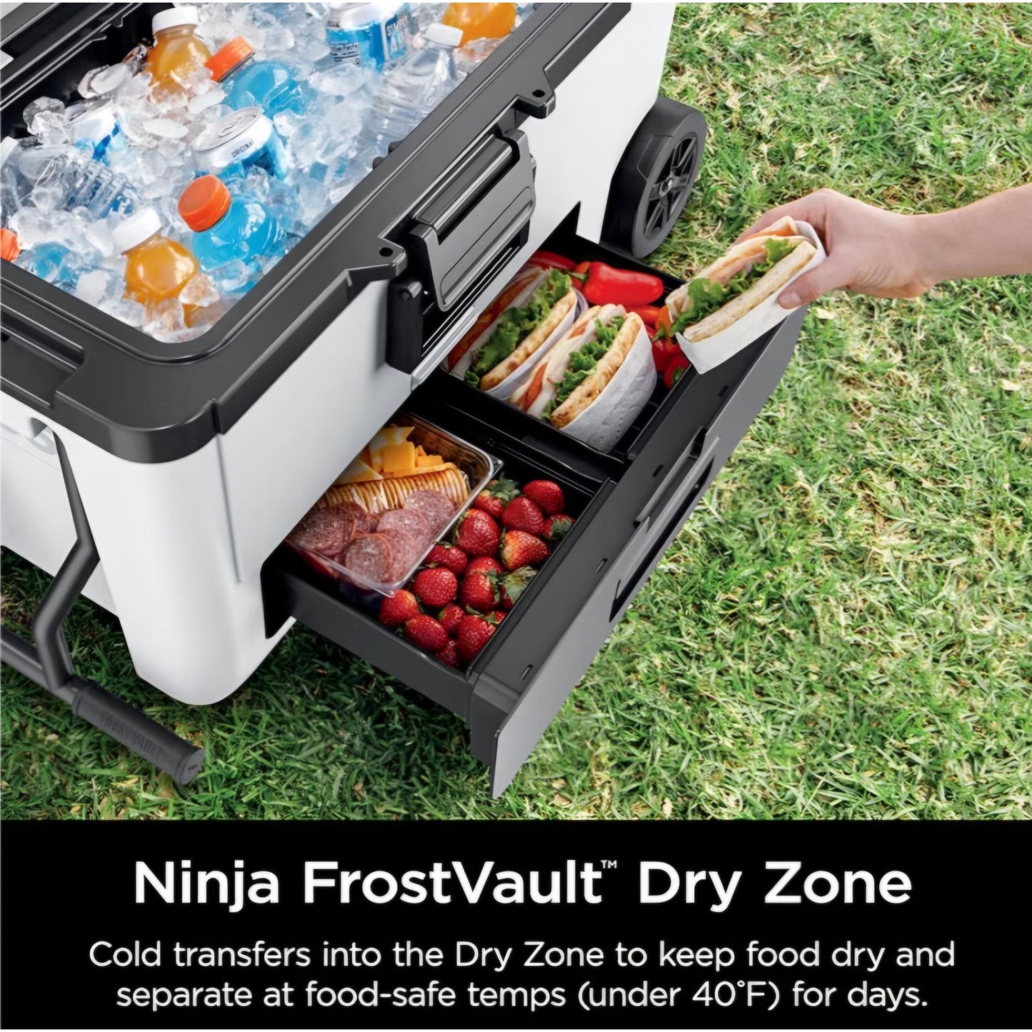 Ninja FrostVault | 65qt Wheeled Cooler with Cold Dry Zone Integrated Fridge Temp Dry Storage Drawer
