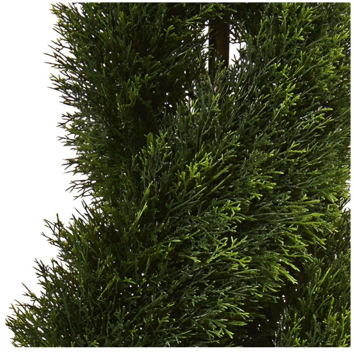 Artificial plant, Natural Double Pond Cypress Spiral Topiary UV Resistant (Indoor/Outdoor)