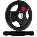 25LB Pair Olympic 2-Inch Cast Iron Plate Weight Plate for Strength Training