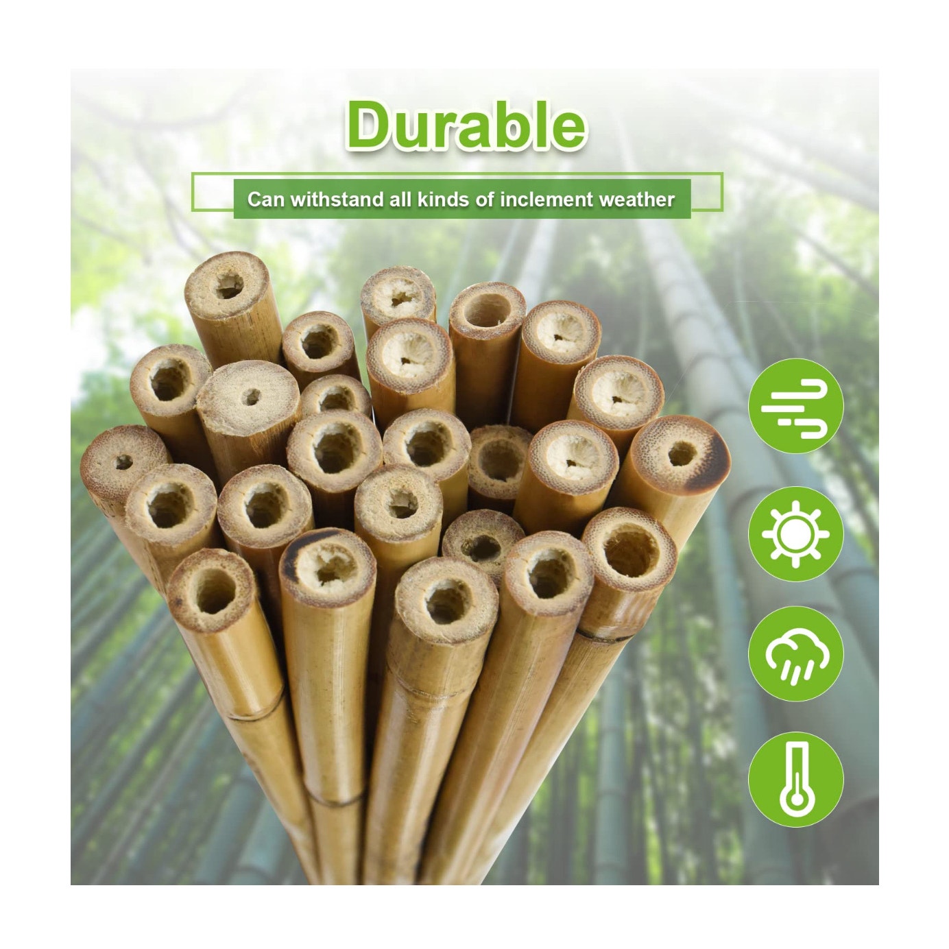 10pcs 1" D Thicker Heavy Duty Bamboo Stakes, 8FT Plant Stakes