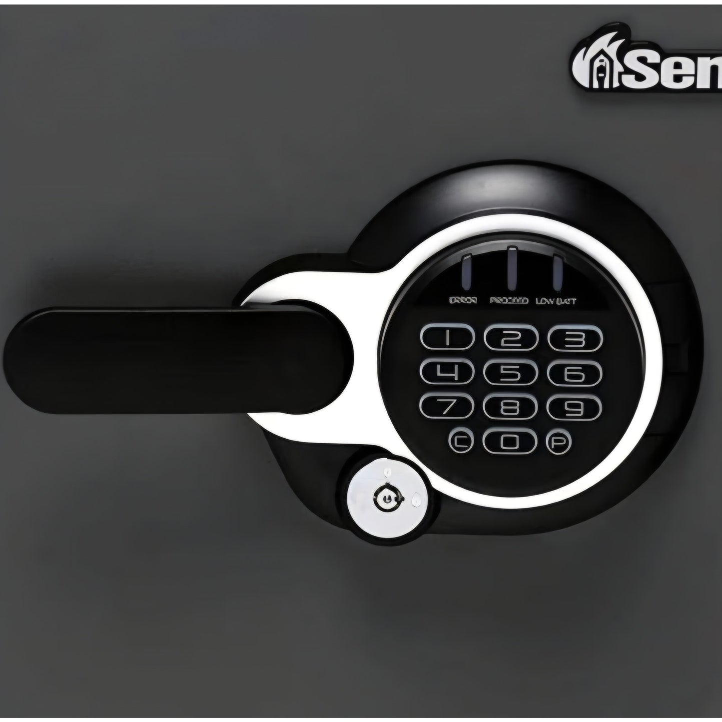 SentrySafe SFW123GTC Fire Chests, Safes