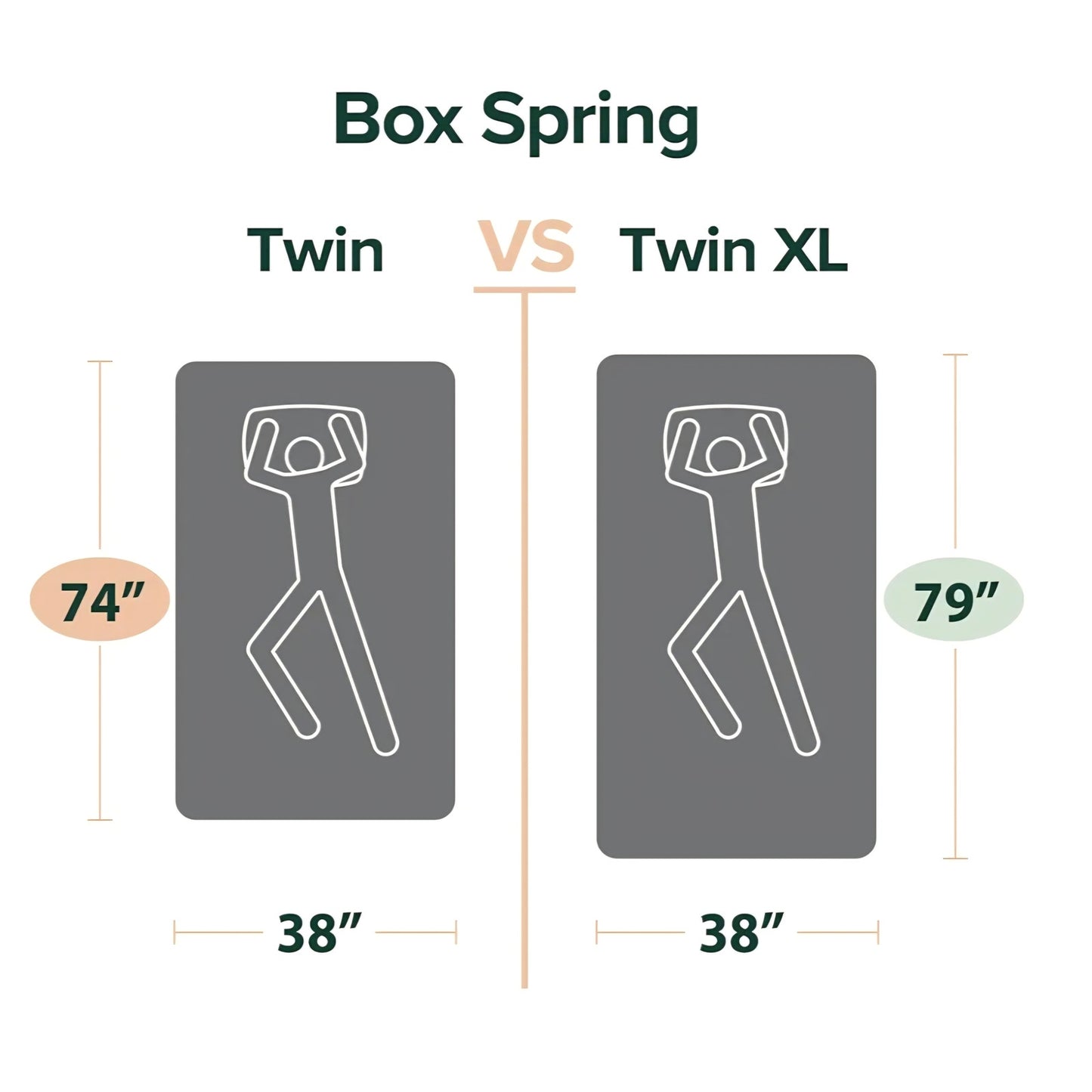 ZINUS 5 Twin, Inch Metal Smart Box Spring, Mattress Foundation, Strong Metal Frame, Easy Assembly,